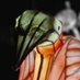 GoSeeAmsterdam (@goseededokter) Twitter profile photo GoSeeAmsterdam (@goseededokter) Twitter profile photo