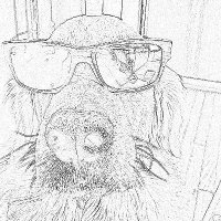 Nate H (@nate_ham1) 's Twitter Profile