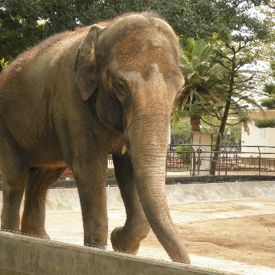 花が好きです。時々植物園や動物園に行きます。