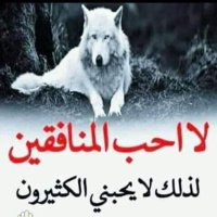 محمود (@humsehaovhkyljz) 's Twitter Profile