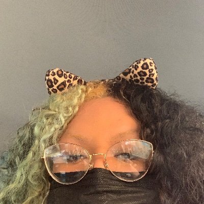 GatoWrld's profile picture. 