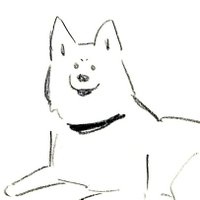 犬山スケッチ (@yako_sketch) 's Twitter Profile Photo 犬山スケッチ (@yako_sketch) 's Twitter Profile Photo