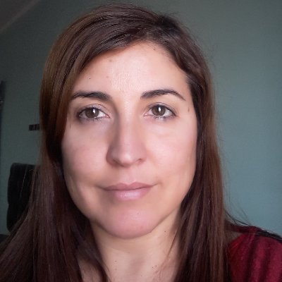 Prof. Adjunto - Facultad de Tecnología y Ciencias Aplicadas - UNCA