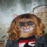 Solana Cat Lilbaksik (@lilbaksik_1) 's Twitter Profile Photo Solana Cat Lilbaksik (@lilbaksik_1) 's Twitter Profile Photo