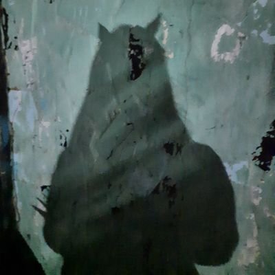 Мейさんのプロフィール画像