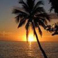 Palm Beach County (@pbcounty) 's Twitter Profile