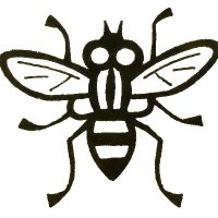 Thomas Pape (@fleshflies) 's Twitter Profile Photo Thomas Pape (@fleshflies) 's Twitter Profile Photo