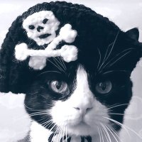 よしボン (@63e1yx3f0d4egha) 's Twitter Profile Photo