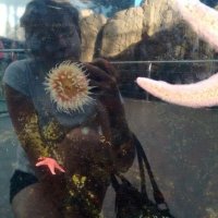 Sara García-Morales (@saralavioletera) Twitter profile photo