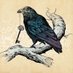 🍁CRÉPUSCULE ET DÉCLIN🍁 (@gabrielboehler) Twitter profile photo 🍁CRÉPUSCULE ET DÉCLIN🍁 (@gabrielboehler) Twitter profile photo