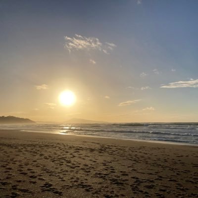 LineTouzeau's profile picture. MCF droit public URCA