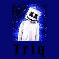 TriquieVL (@ardatriquie) Twitter profile photo