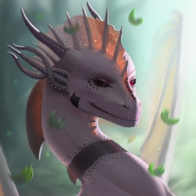 Nihallaさんのプロフィール画像