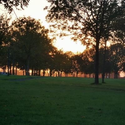 Sineadk2021's profile picture. 