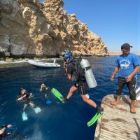 Nickynoo/Aquanaught/conservationist (@nickynoo15) 's Twitter Profile Photo