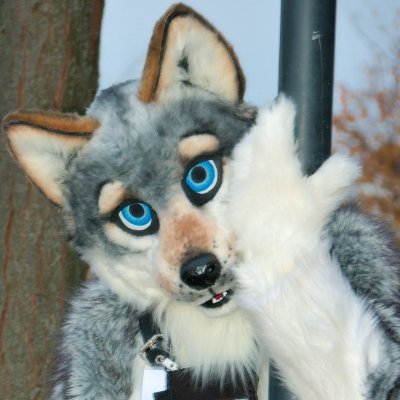 Just a fluffy grey wolf.  Makes light shows.

Connoisseur of fine rum and whisky.
Certified Cigar Sommelier & Tobacconist.

Also @terkwolf.bsky.social