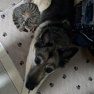 Philocifically's profile picture. 