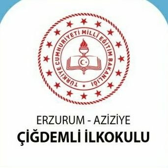 AziziyeCigdemli's profile picture. 