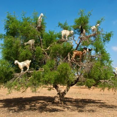 Vivo en regiones en La Araucanía, agradecida de la cultura y la natura.Y como dijo SANdro: Los demás somos nosotros