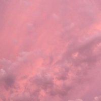 M.M (@miramanna3) 's Twitter Profile