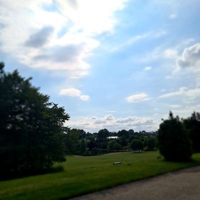 saf_33na's profile picture. 