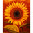 S u n_F l o w e r