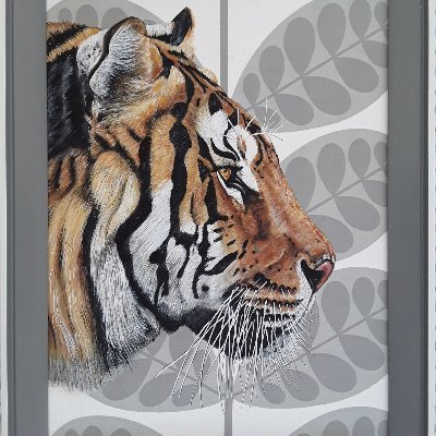 Avrilchapman01's profile picture. Avril's Art, Freelance artist with an interest in unusual styled British wildlife, commissions, avchapman@hotmail.co.uk