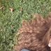 angelina (@noyeahitsfineee) Twitter profile photo angelina (@noyeahitsfineee) Twitter profile photo