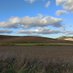 Intercatia🌾 🇮🇪 (@intercatia3) Twitter profile photo Intercatia🌾 🇮🇪 (@intercatia3) Twitter profile photo
