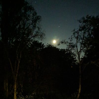 OHeZaLO's profile picture. 