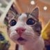 𝘙𝘜𝘚𝘐𝘓✰ (@4r_30) Twitter profile photo 𝘙𝘜𝘚𝘐𝘓✰ (@4r_30) Twitter profile photo