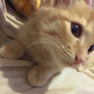 fclara98's profile picture. ♉️♏️♑️