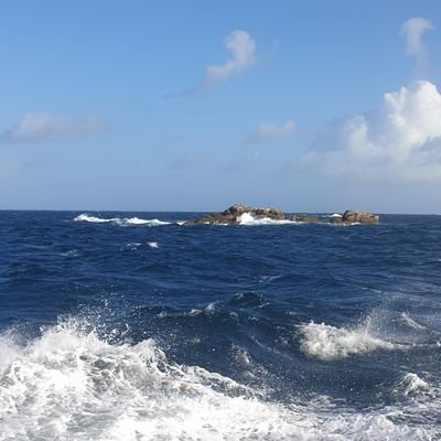 ftwpook's profile picture. 