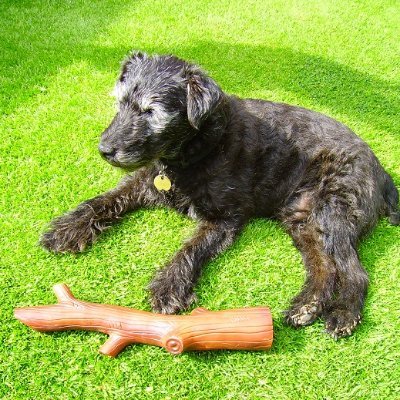 OmegaPointZen's profile picture. #FlowState #OmegaPoint #Vegan #AnimalAdvocate #Singularity #SystemsThinking #RubiksCube #OutdoorsSkills
 #Meditation #SketchArtist #Bitcoin