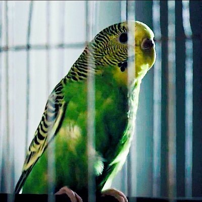Here to feed my addictions
#saveprodigalson https://t.co/yCquCxETg3
SIGN! https://t.co/nLuc3cFiih