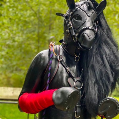 Rubber Neigh- Folsom Berlinさんのプロフィール画像