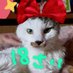 つばき🐱 (@tsu_ba_ki_03_19) Twitter profile photo つばき🐱 (@tsu_ba_ki_03_19) Twitter profile photo