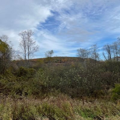 delcher79's profile picture. 