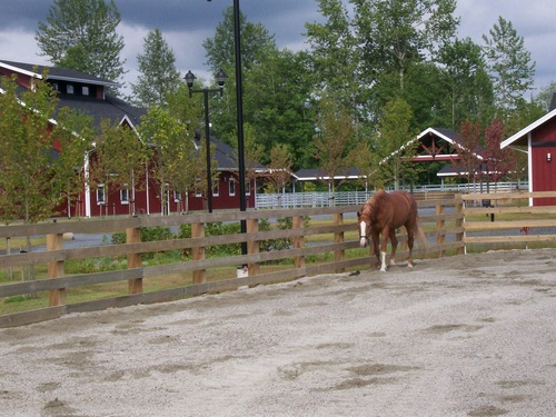 ​
HP is a combination country club and equestrian centre with 40 stalls, 3 rings, 8000 sq ft clubhouse with fitness centre, tennis court and lounge.