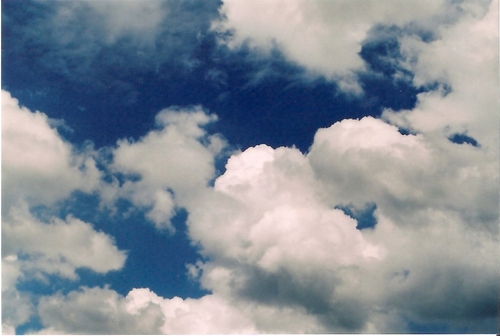 nezumi100's profile picture. 写真/アニメ/植物育てが趣味