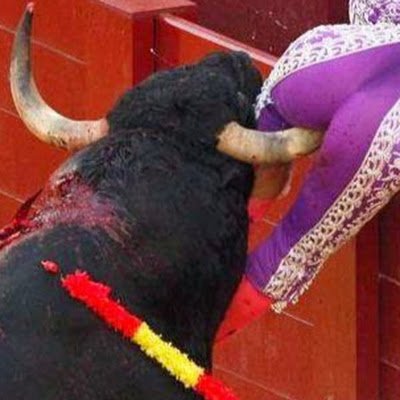 davenel66390203's profile picture. trump is a fascist