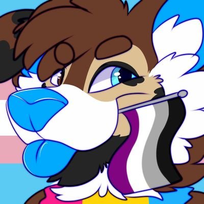 🌈 Queer Border Collie⁷🌈 🏳️‍⚧️さんのプロフィール画像