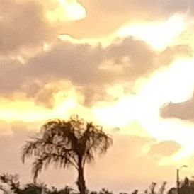 funedits311's profile picture. Kid from tiktok