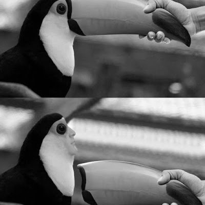 Cellogram_'s profile picture. L