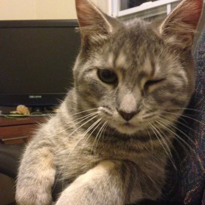 CoreyDaytona's profile picture. Believe to achieve. Doubt, and you'll go without.