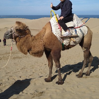 nikukomedaisuki's profile picture. 2022年9月より、Go Good株式会社マネージャー。
失敗を恐れず常に新しいことに挑戦したい。
2024年7月からのオフィス移転に伴い、恵比寿の街のご飯アカウントになりました。

★好き★
ラーメン、お酒、本、漫画、映画