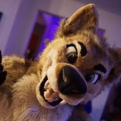 |fursuiter, gearhead, biker, creator, male, 30s, so cal| @greaseyote on Telegram slow replies|