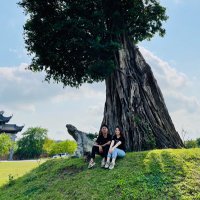 TrongTB 🛸 (@trongtb2) 's Twitter Profile