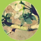 smerualuilermo's profile picture. Мы никогда не живем, а лишь располагаем жить.