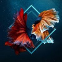 BIN PS (@binps9) 's Twitter Profile